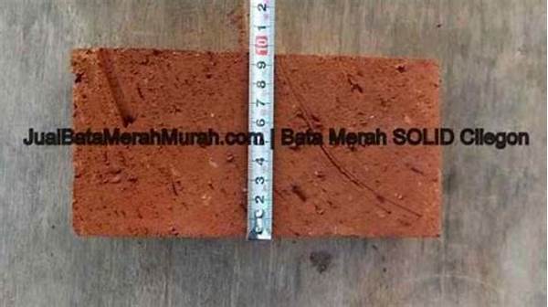 Batu Bata Merah Solid 7 batu bata merah solid 3add4efaa